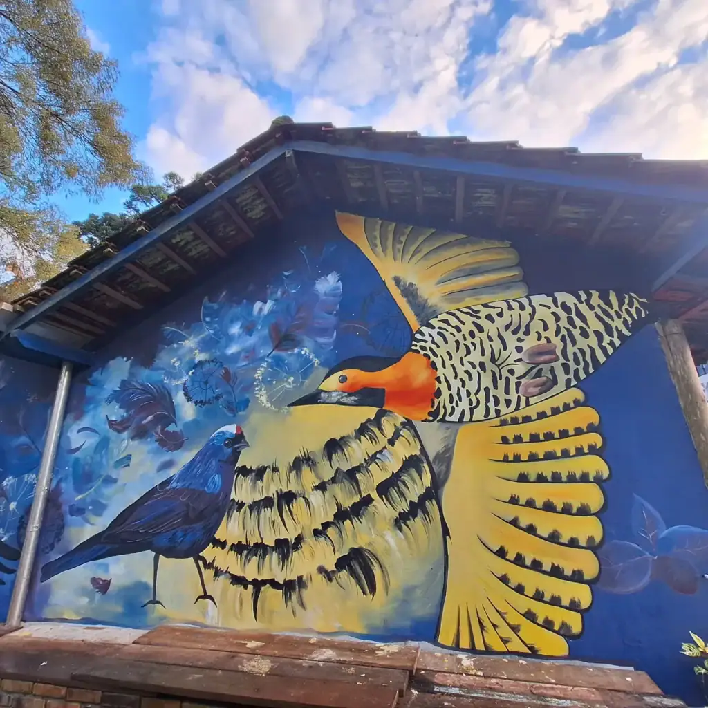 img 20240717 111515 706