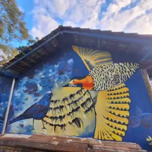 img 20240717 111515 706