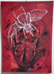 Scarabée rhinocéros